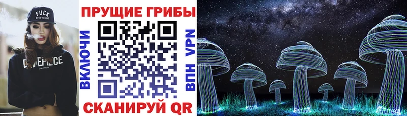 Псилоцибиновые грибы ЛСД  kraken сайт  Полесск 