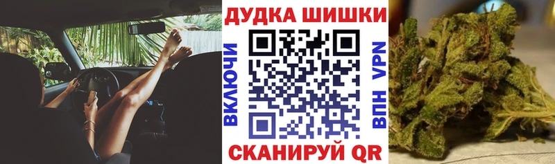 Канабис сатива  Полесск 